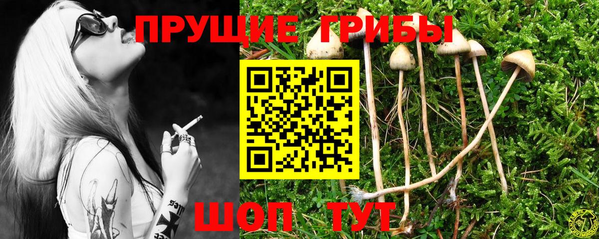 Псилоцибиновые грибы Magic Shrooms Новочебоксарск